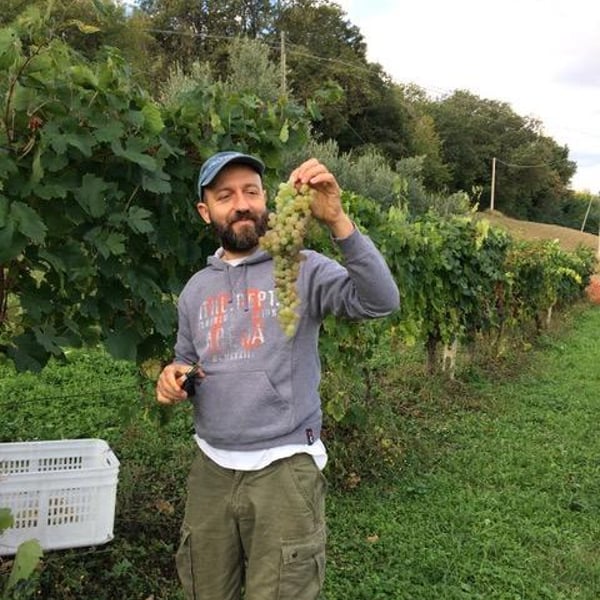 Azienda Agricola Costa Digiano - Amy Wadman & Mirco Lucamarini
