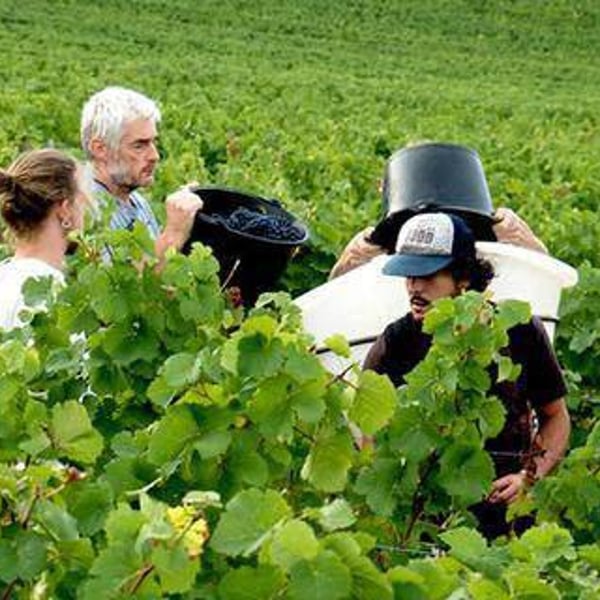 Domaine de la Touraize - André-Jean & Héléana Morin
