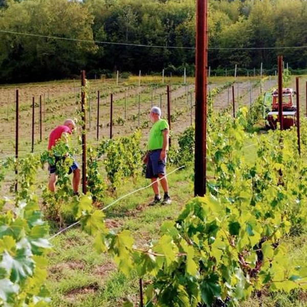Azienda Agricola Bragagni Andrea - Andrea Bragagni