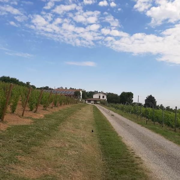 Andrea Bruschi, Paola Degli Antoni