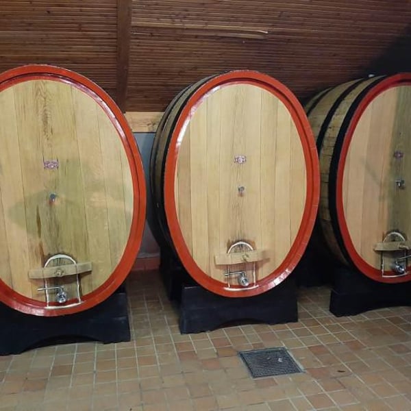 Montepascolo - Andrea Bruschi, Paola Degli Antoni