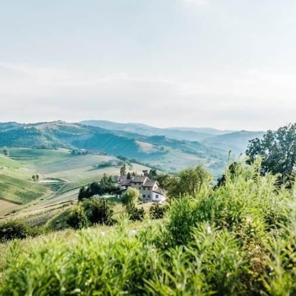 Podere Cervarola - Andrea Della Casa