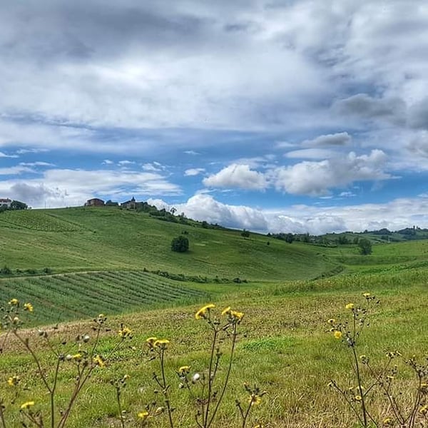 Podere Cervarola - Andrea Della Casa