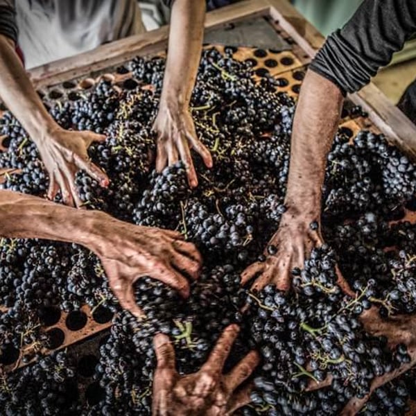Domaine de Chèrouche - Andrea Grossmann & Marc Balzan