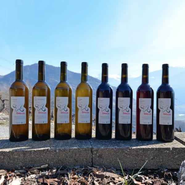 Domaine de Chèrouche - Andrea Grossmann & Marc Balzan