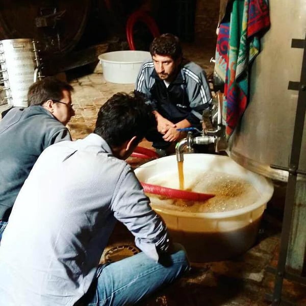 Oppeddentro - Andrea Piccioni , Luca Cacciani ,Andrea Sbaffi ​ & ​Giuseppe Sbaffi