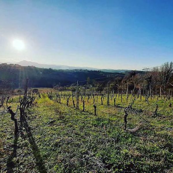 Oppeddentro - Andrea Piccioni , Luca Cacciani ,Andrea Sbaffi ​ & ​Giuseppe Sbaffi