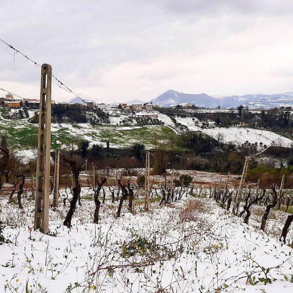 Oppeddentro - Andrea Piccioni , Luca Cacciani ,Andrea Sbaffi ​ & ​Giuseppe Sbaffi