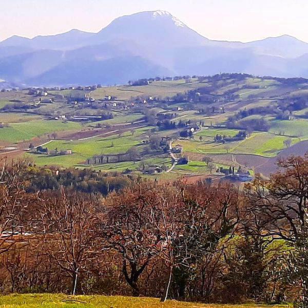 Oppeddentro - Andrea Piccioni , Luca Cacciani ,Andrea Sbaffi ​ & ​Giuseppe Sbaffi