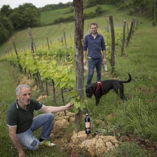 Podere della Bruciata - Andrea Rossi