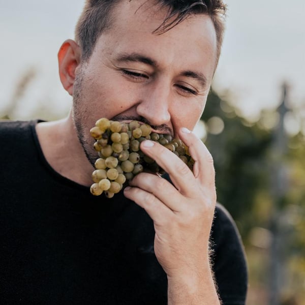 Ziniel Wine - Andreas Ziniel