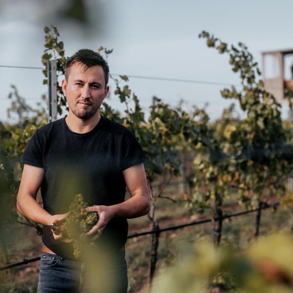 Ziniel Wine - Andreas Ziniel