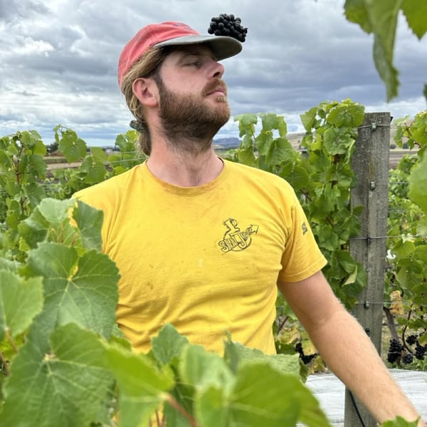 Aard Wine - Annabelle Koopman and Bart De Parade