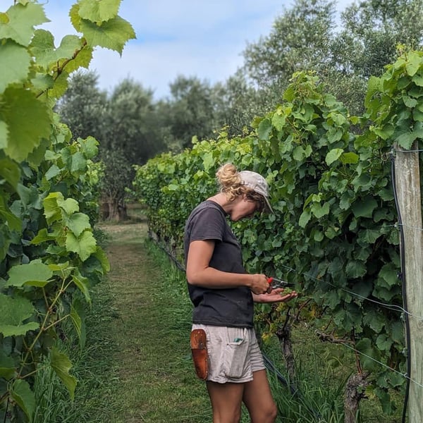 Aard Wine - Annabelle Koopman and Bart De Parade