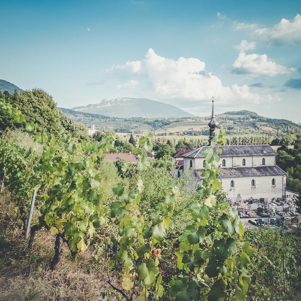 Domaine de Lucey - Anne Cécile Pflieger & Erwan Buchwalter