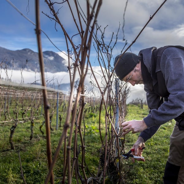 Domaine de Lucey - Anne Cécile Pflieger & Erwan Buchwalter