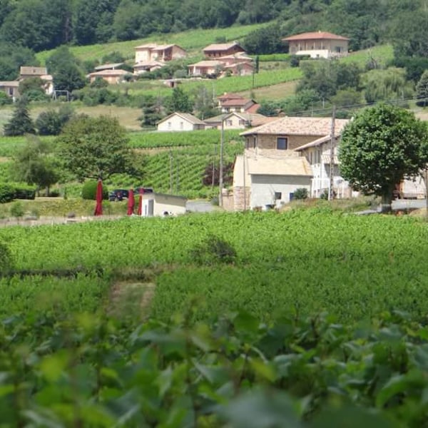 Domaine Lachat - Anne Lekkerkerker