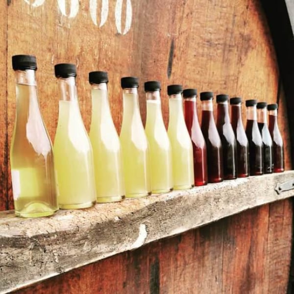 Domaine du Chambet - Anthony Fonjallaz