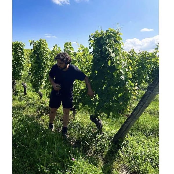 Domaine du Chambet - Anthony Fonjallaz