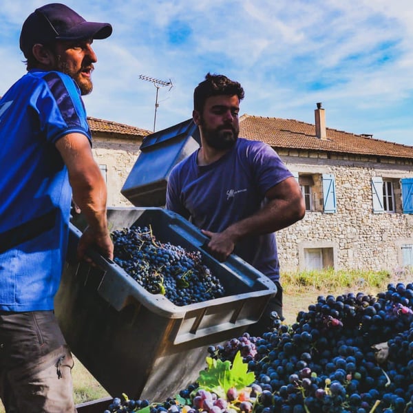 Domaine du Brusquié - Blandine Ruelle & Anthony Gasser