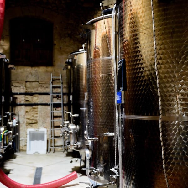 Domaine du Brusquié - Blandine Ruelle & Anthony Gasser