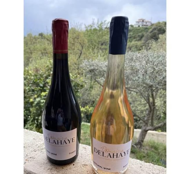 Domaine Delahaye - Antoine Delahaye