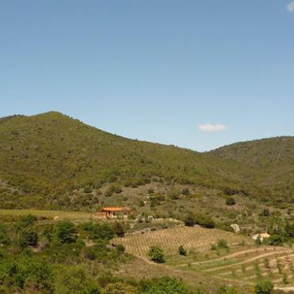 Domaine de l'Encantade - Antoine Latipau