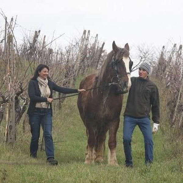 Fattoria La Maliosa - Antonella Manuli