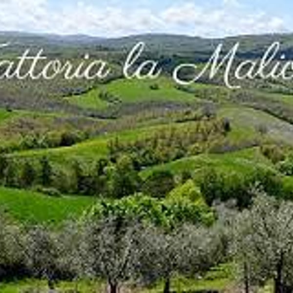 Fattoria La Maliosa - Antonella Manuli