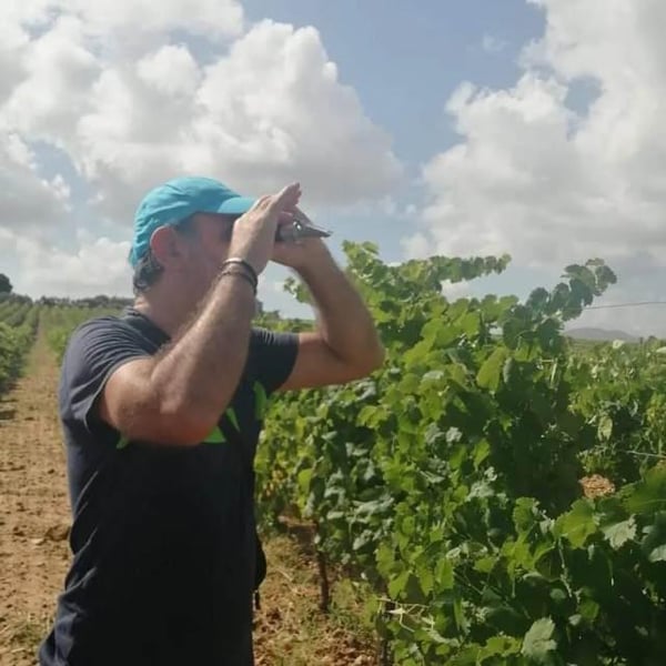 Azienda Asta Antonino - Antonino Asta
