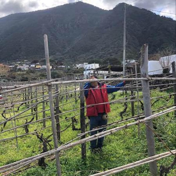 Azienda Agricola Ancestrale - Antonino Caravaglio & Giuseppe Mascoli