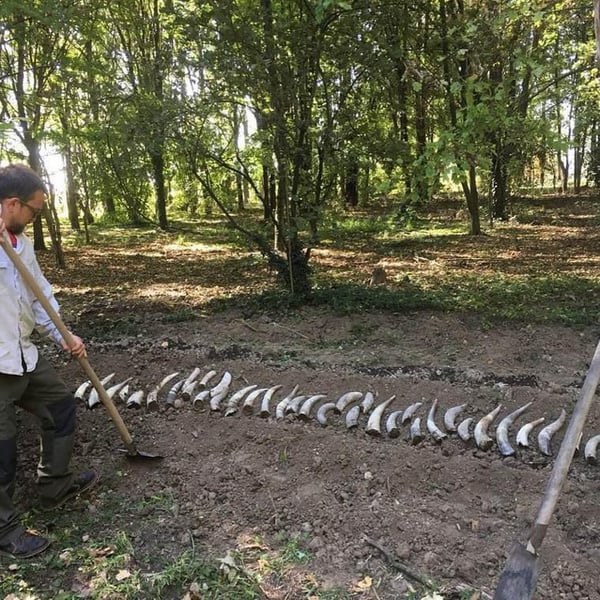 Vigne Del Pellagroso - Antonio Camazzola
