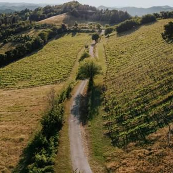 Caccianemici BioAutoctona S.S. Società Agricola - Antonio Colliva, Walter Iannini, Giovanni Freddi