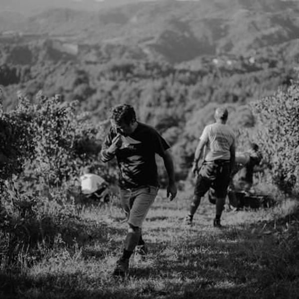Caccianemici BioAutoctona S.S. Società Agricola - Antonio Colliva, Walter Iannini, Giovanni Freddi