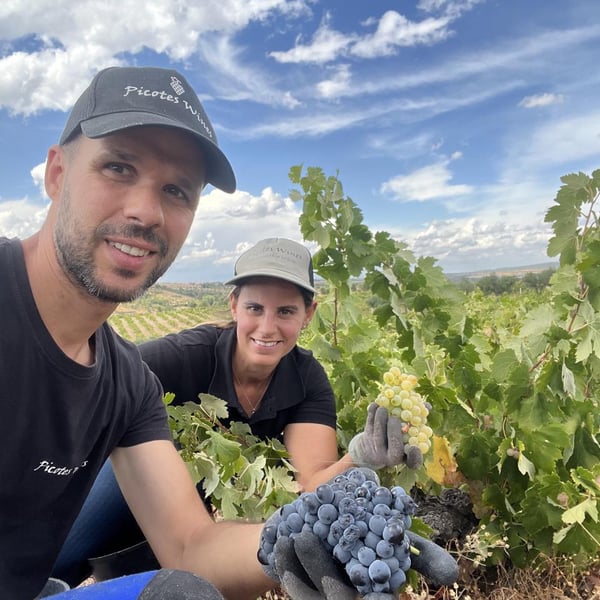 Picotes Wines - Carla & António Picotês