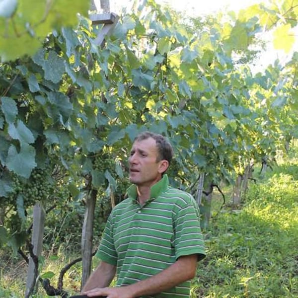 Archil Guniava Wine Cellar - Archil Guniava
