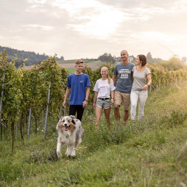 Armin Kienesberger – Biodynamischer Weinbau - Armin Kienesberger