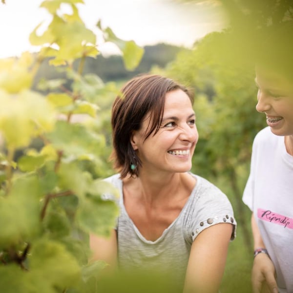 Armin Kienesberger – Biodynamischer Weinbau - Armin Kienesberger