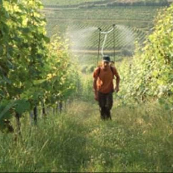 Domaine Geschickt - Arnaud Geschickt & Aurélie Fayolle