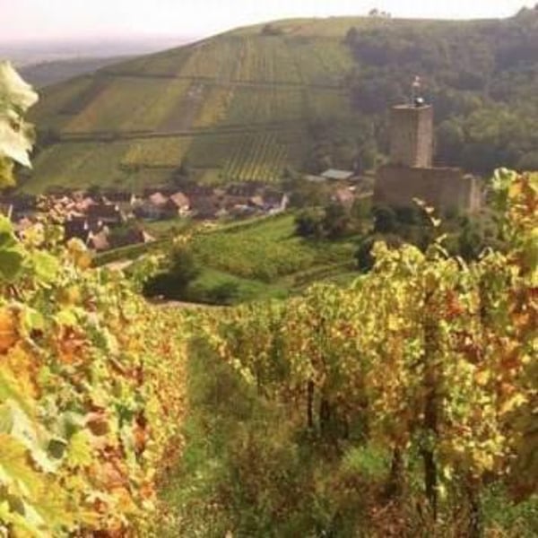 Domaine Geschickt - Arnaud Geschickt & Aurélie Fayolle