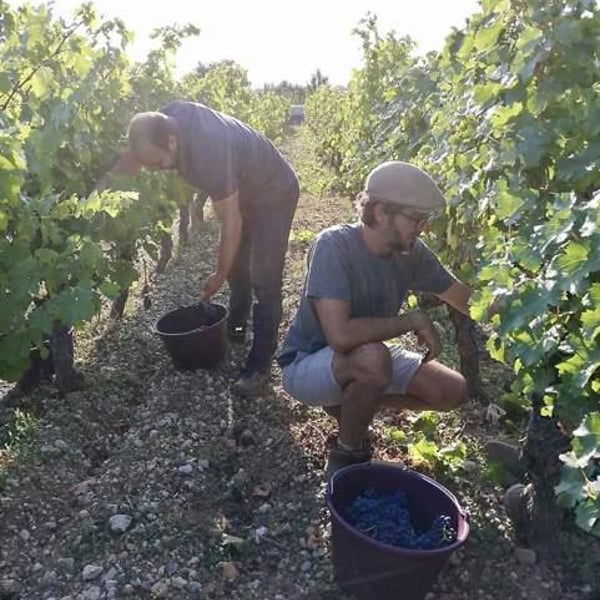 Le Monde est Petit - Arnaud Legros & Hervé Cormier