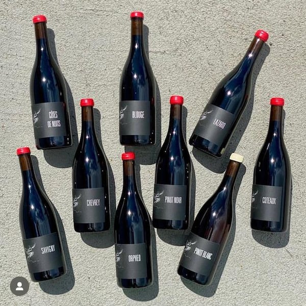 Maison Pinot Noar - Arnaud Lopez