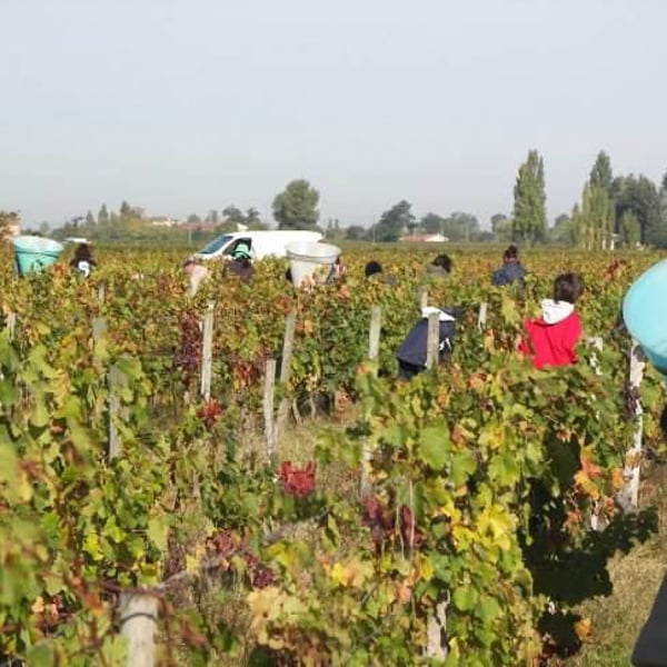 Domaine Cassini - Arnauld & Isabelle Daudier De Cassini