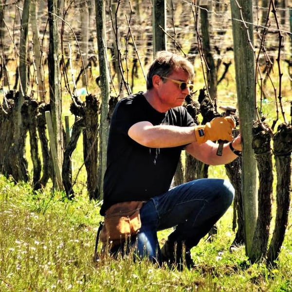 Domaine Cassini - Arnauld & Isabelle Daudier De Cassini