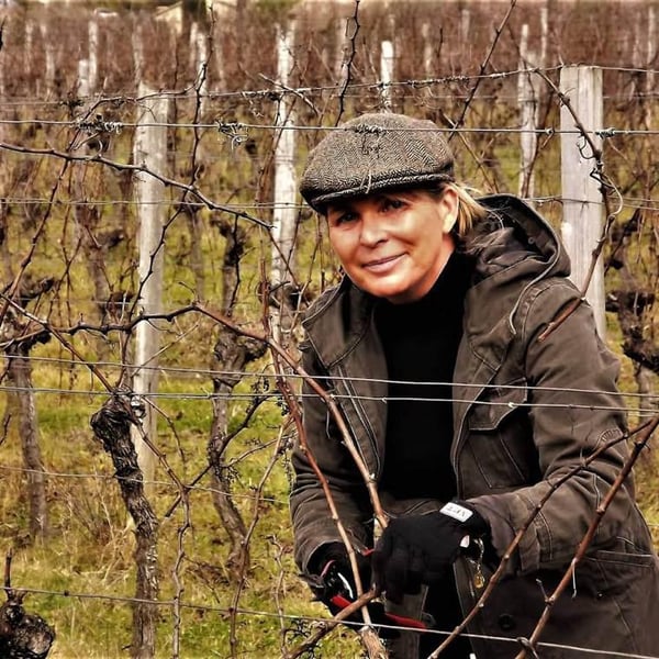 Domaine Cassini - Arnauld & Isabelle Daudier De Cassini