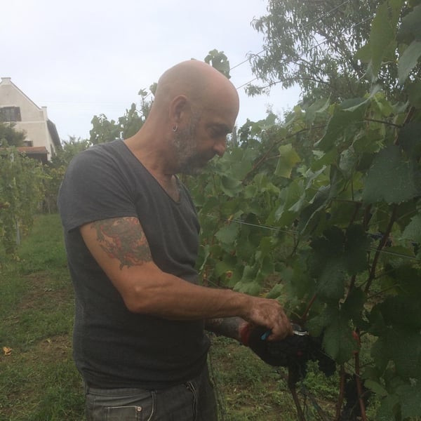 PAP Wines - Aron Molnár & Karina Vissonova