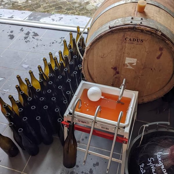 Zinneke Wine - Athéna et Fabrice