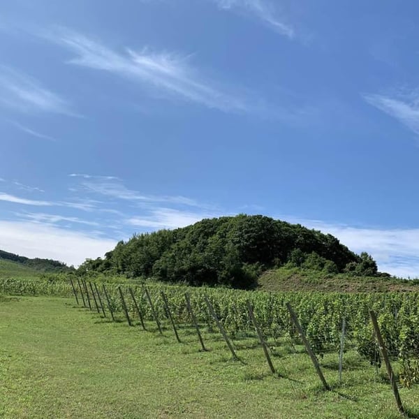 Domaine Mont - Atsuo Yamanaka