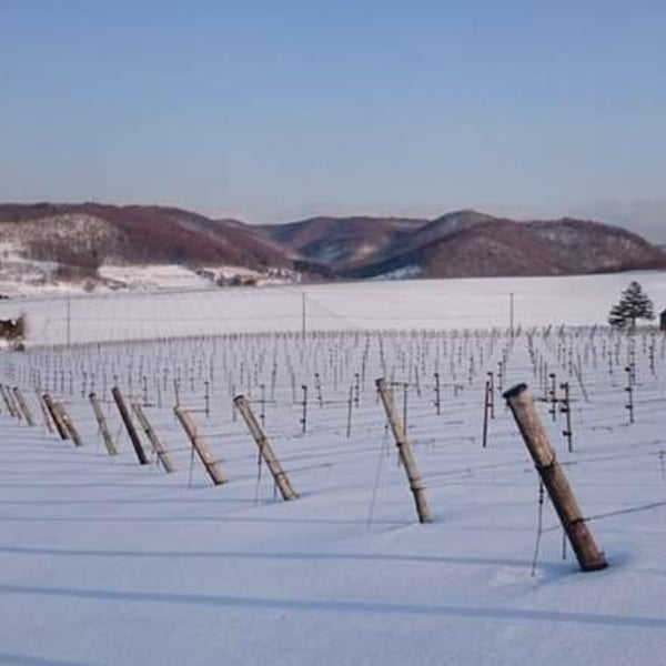 Domaine Atsushi Suzuki - Atsushi Suzuki
