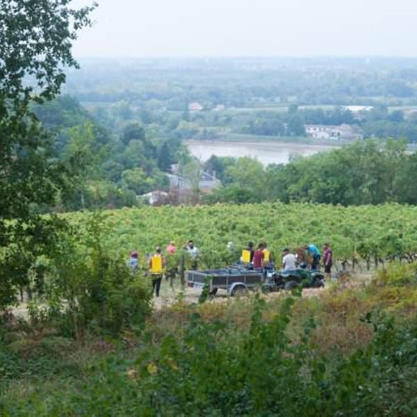 Château Mons La Graveyre - Aurélie Carreau